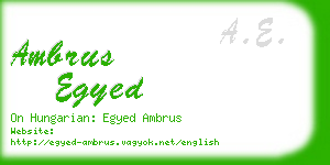 ambrus egyed business card